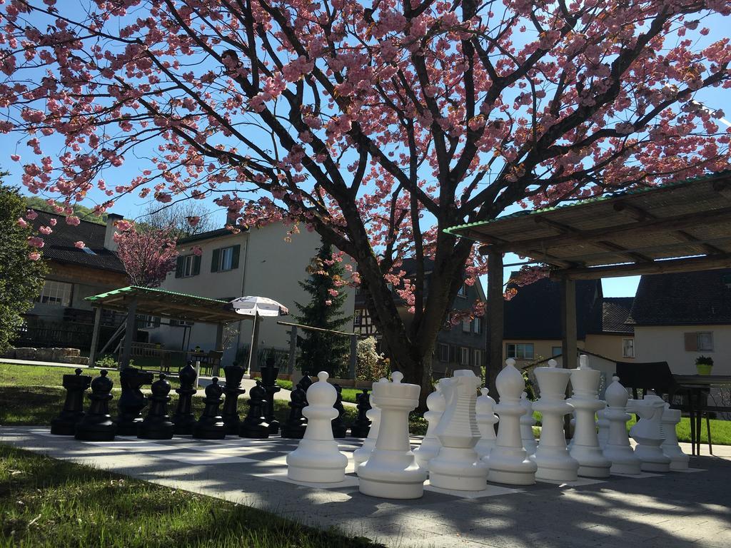 Ferienhotel Bodensee Berlingen Zewnętrze zdjęcie