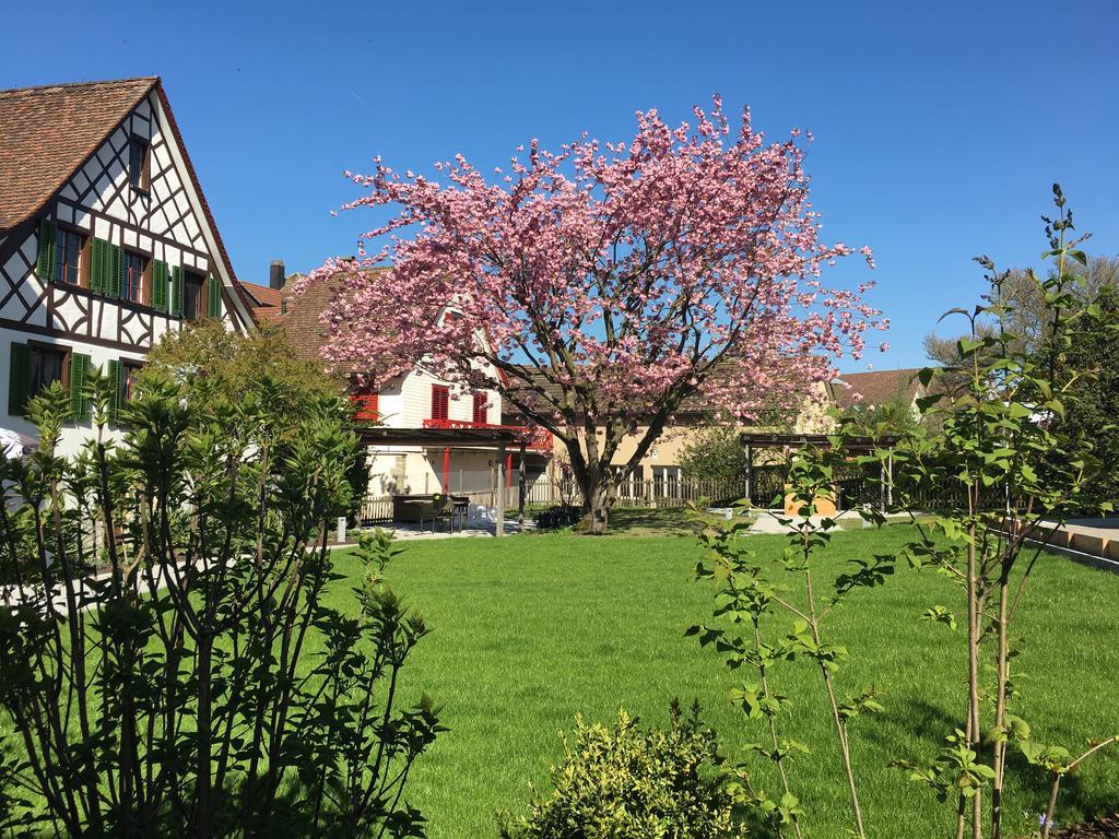 Ferienhotel Bodensee Berlingen Zewnętrze zdjęcie